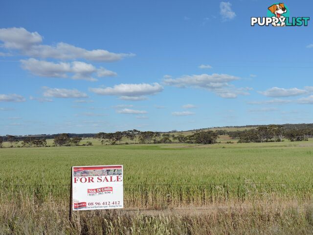6631 CUNDERDIN-QUAIRADING ROAD YOUNDEGIN WA 6407