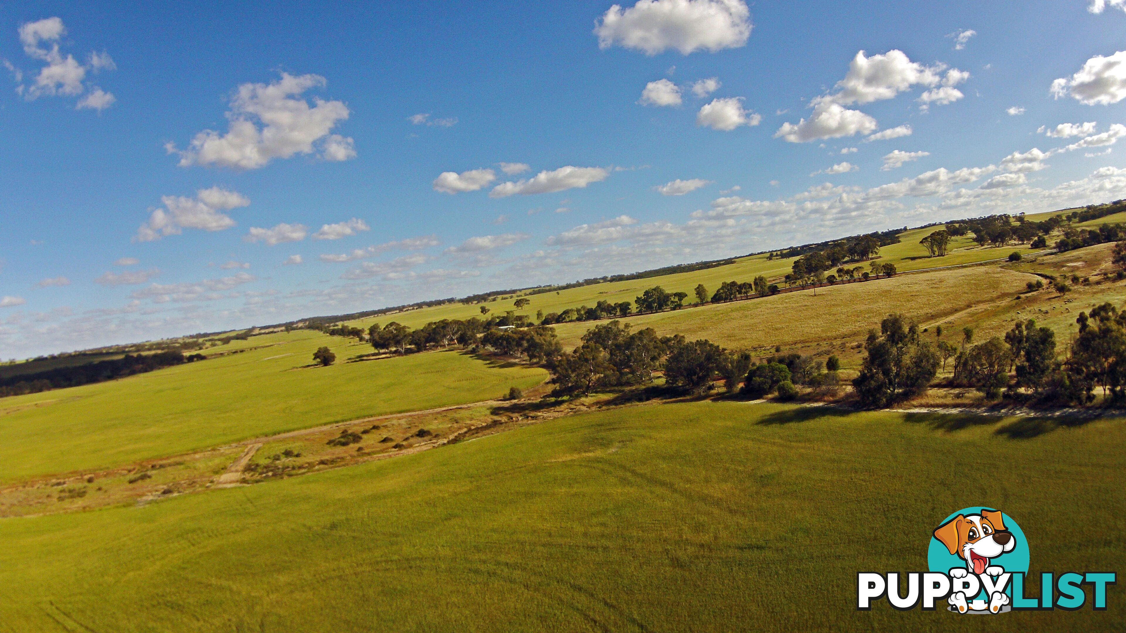 6631 CUNDERDIN-QUAIRADING ROAD YOUNDEGIN WA 6407