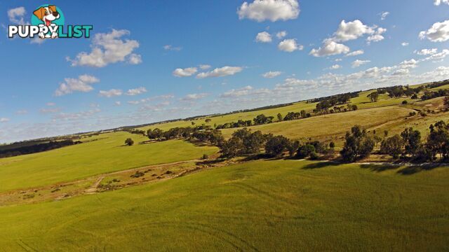 6631 CUNDERDIN-QUAIRADING ROAD YOUNDEGIN WA 6407