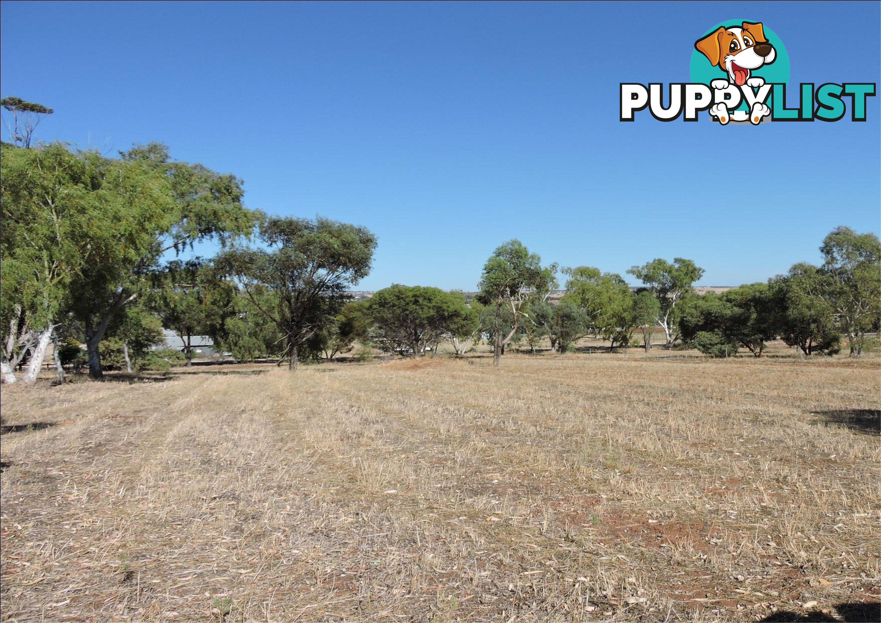 17 HOPE ST BEVERLEY WA 6304