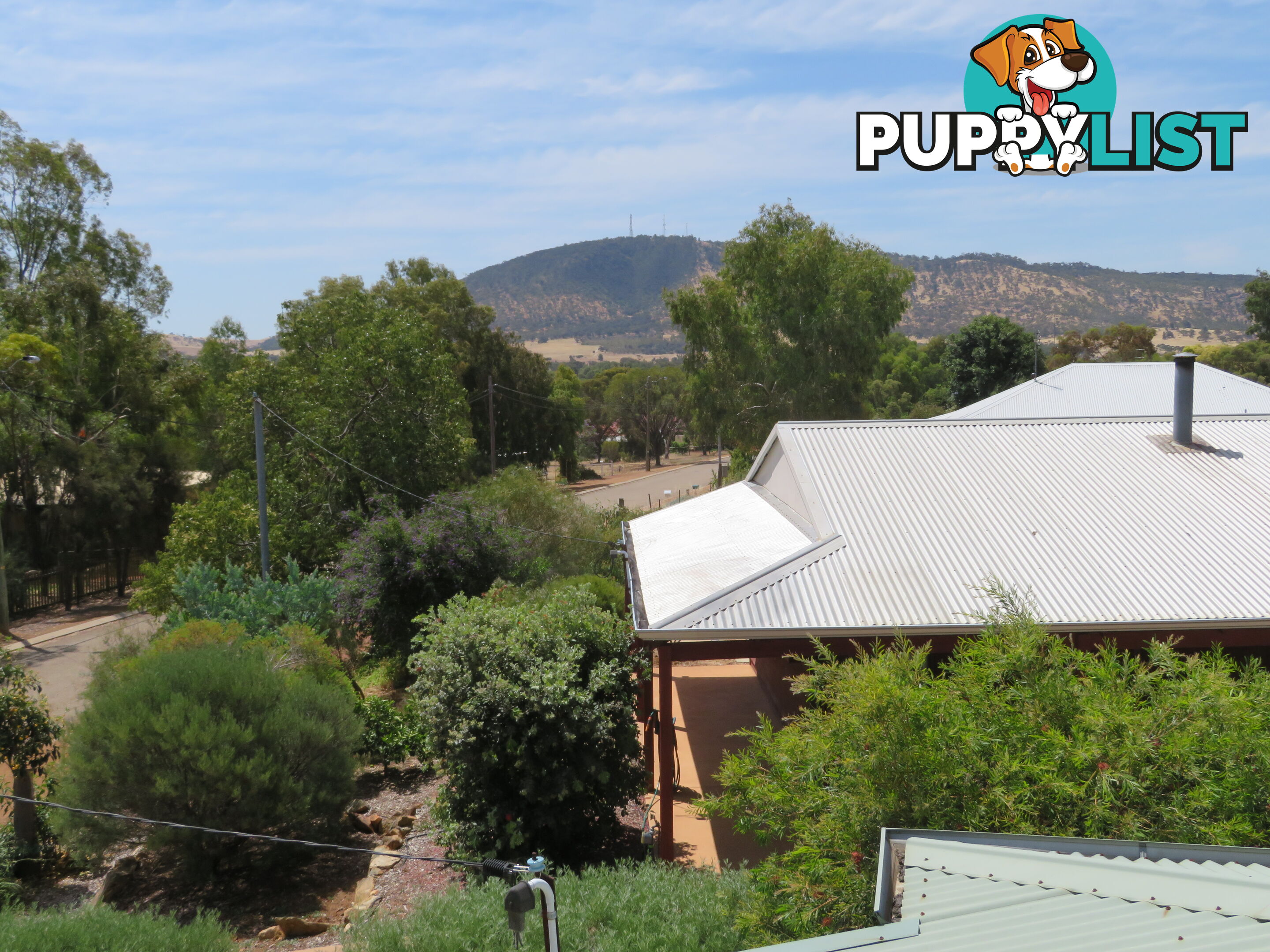 6 HOPE STREET YORK WA 6302