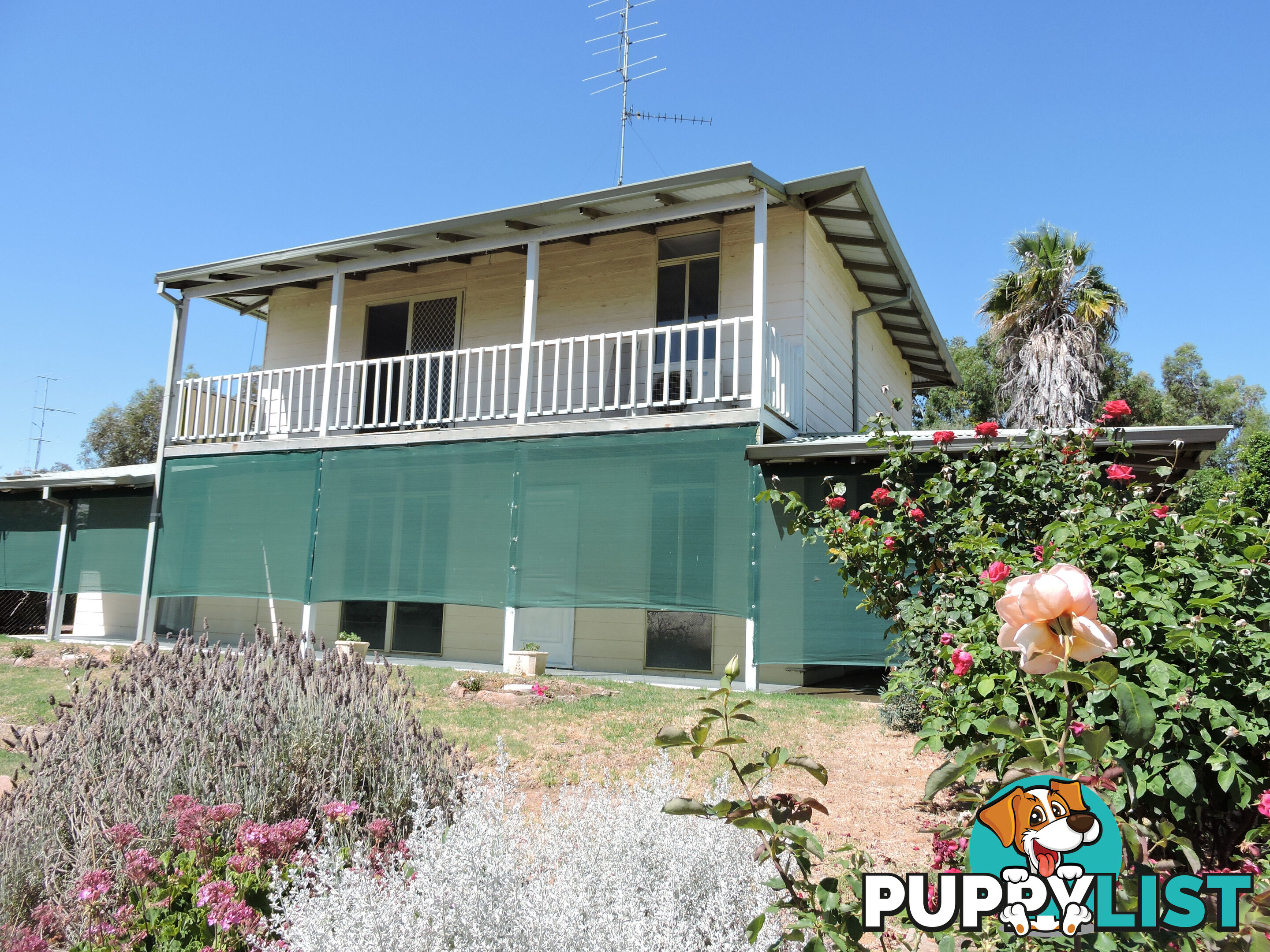 6 HOPE STREET YORK WA 6302