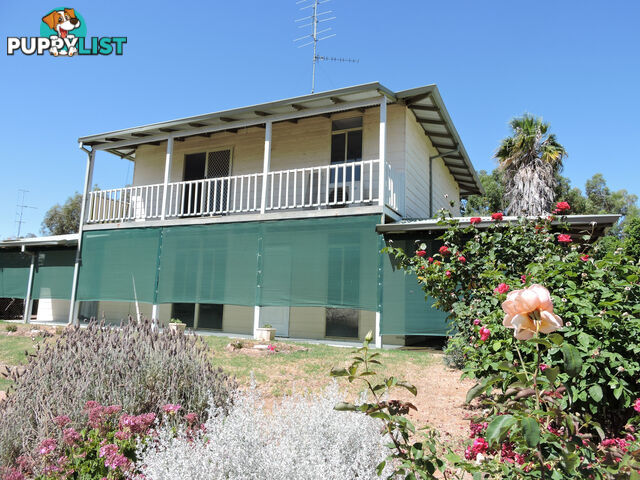 6 HOPE STREET YORK WA 6302