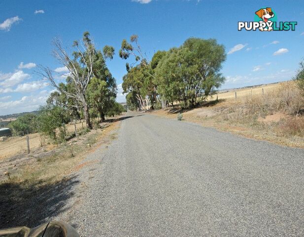 203 SIMMONS BEVERLEY WA 6304