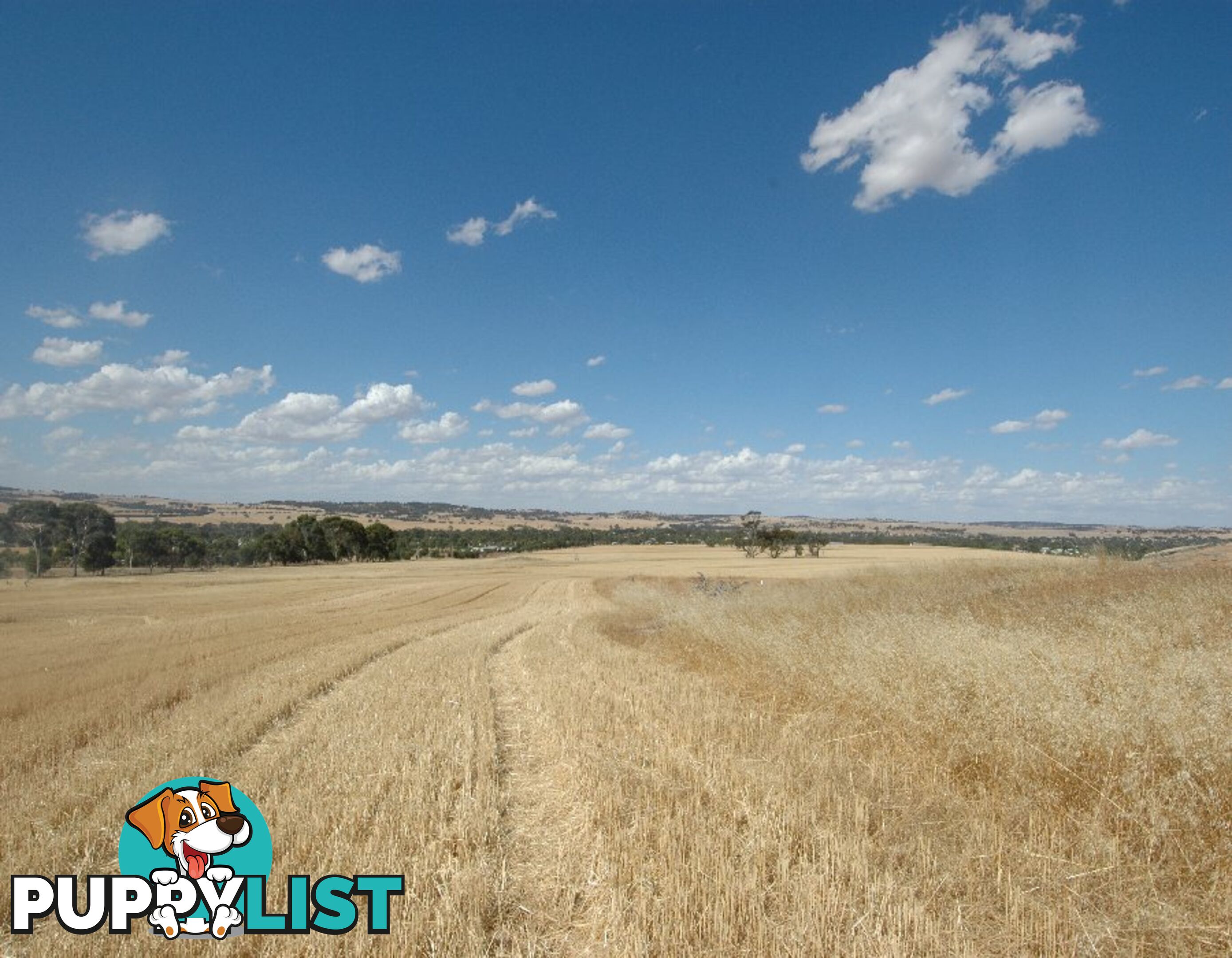 203 SIMMONS BEVERLEY WA 6304