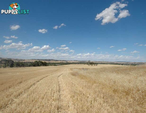 203 SIMMONS BEVERLEY WA 6304