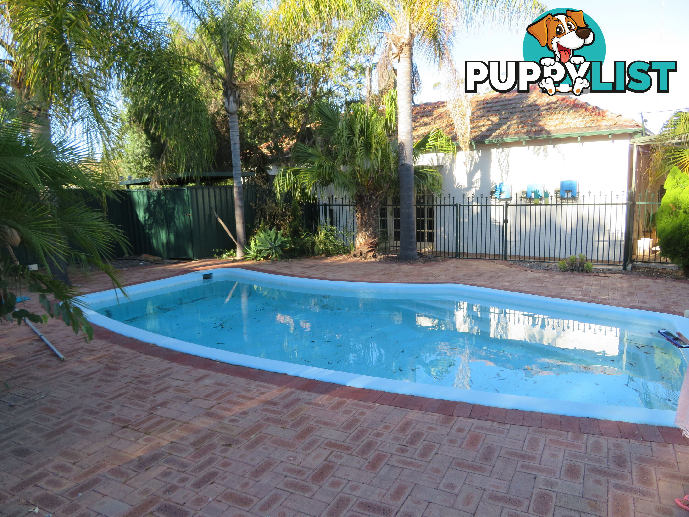 1 & 340 199-203 Mitchell Avenue NORTHAM WA 6401