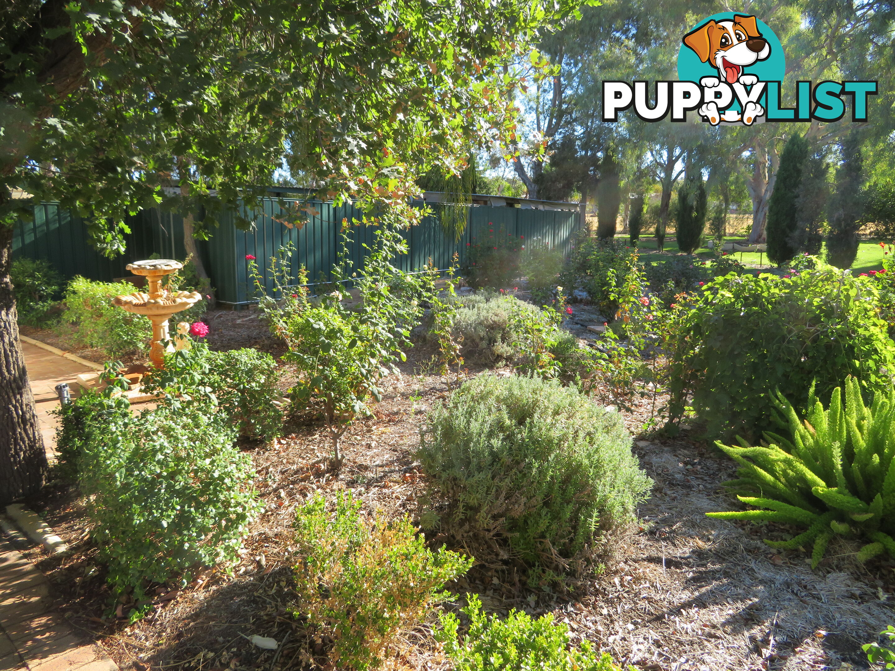 1 & 340 199-203 Mitchell Avenue NORTHAM WA 6401