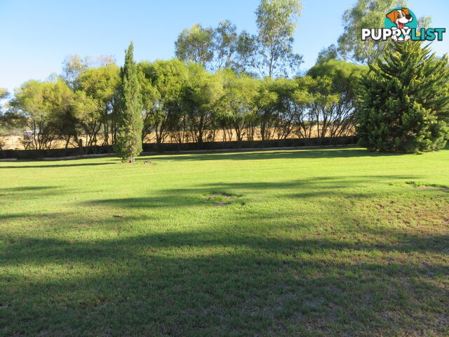 1 & 340 199-203 Mitchell Avenue NORTHAM WA 6401