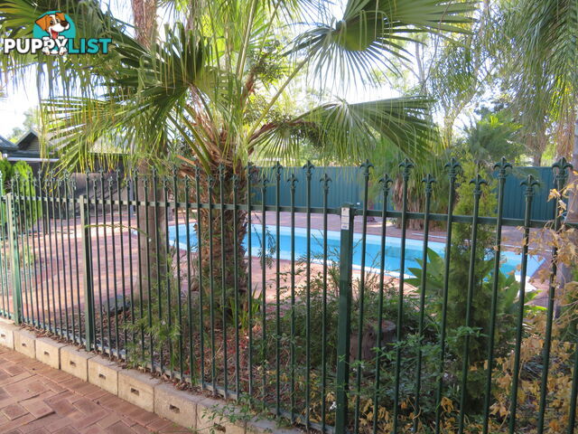1 & 340 199-203 Mitchell Avenue NORTHAM WA 6401