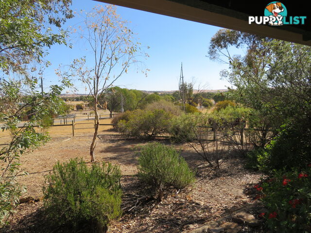 184 2 Dempster BEVERLEY WA 6304