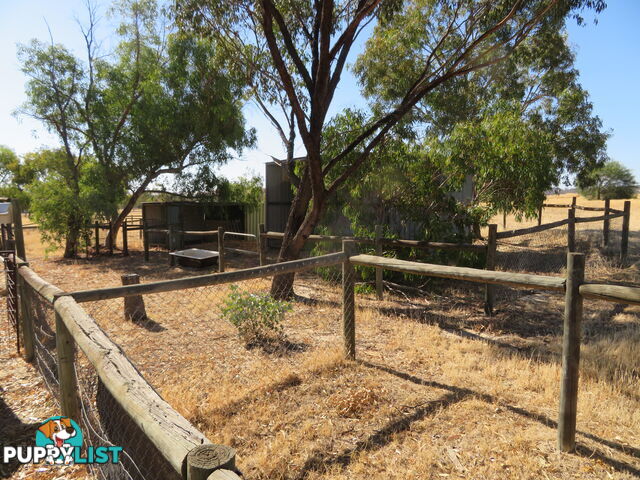 184 2 Dempster BEVERLEY WA 6304
