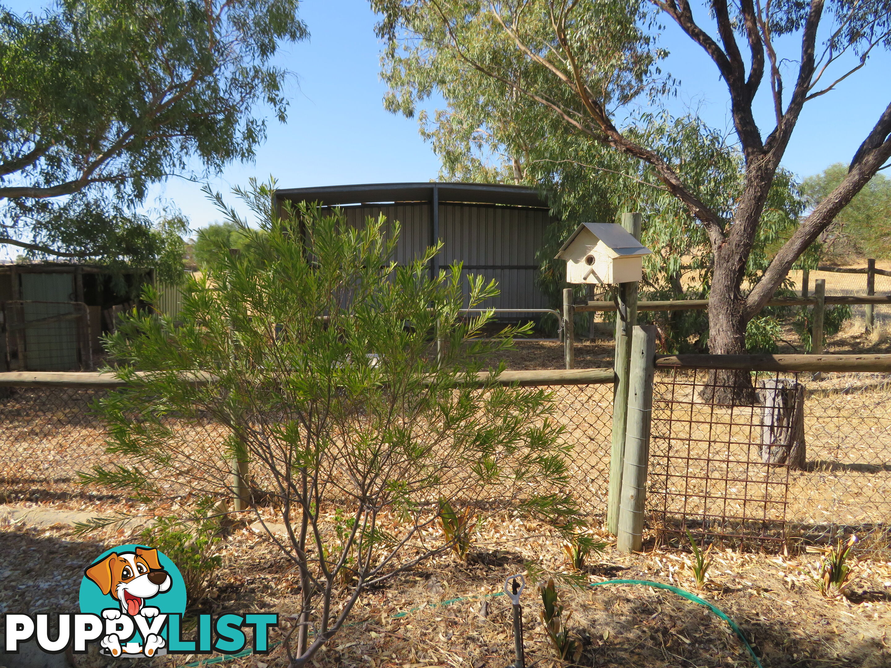 184 2 Dempster BEVERLEY WA 6304