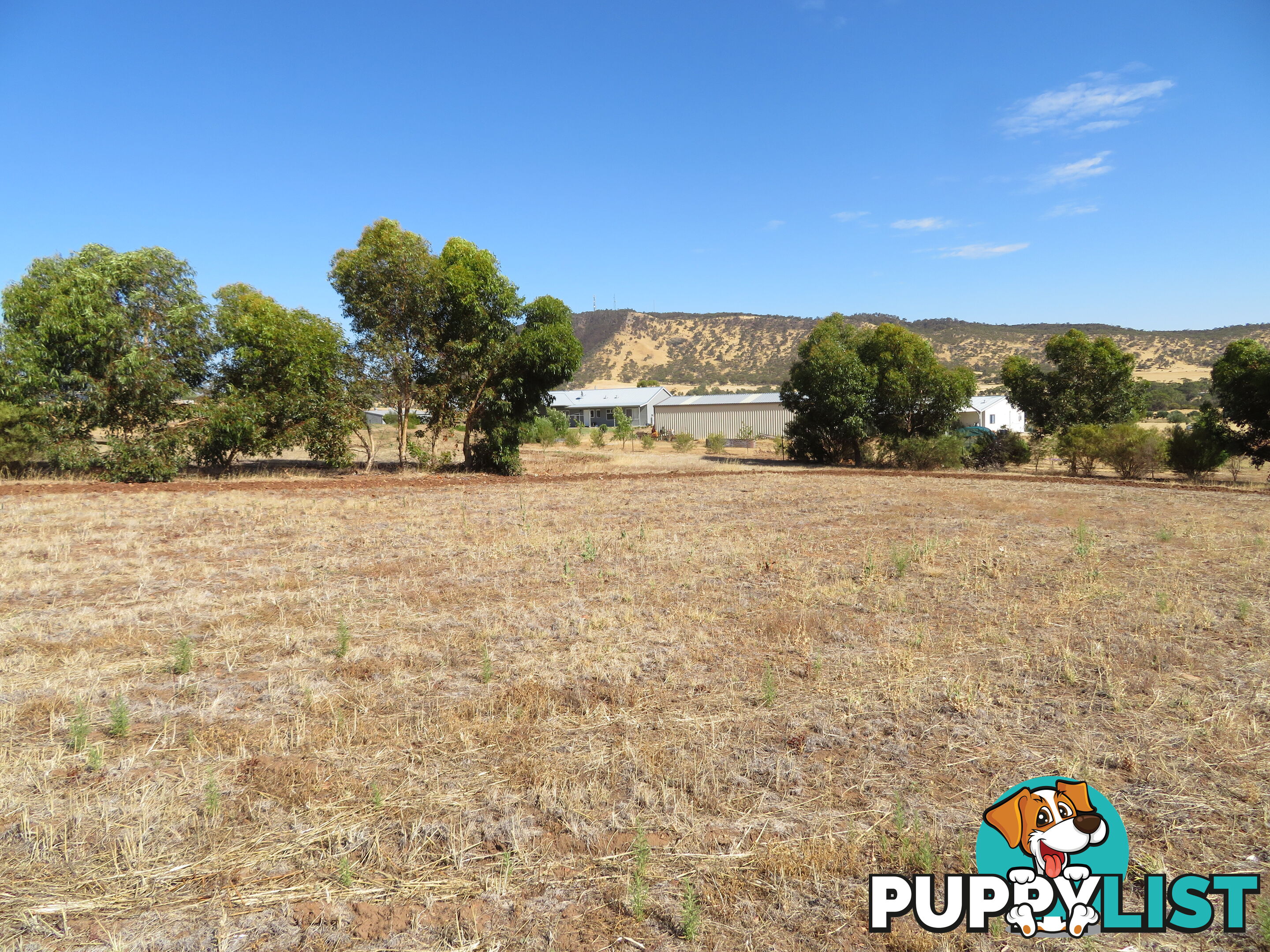 51 Langford Cresent YORK WA 6302