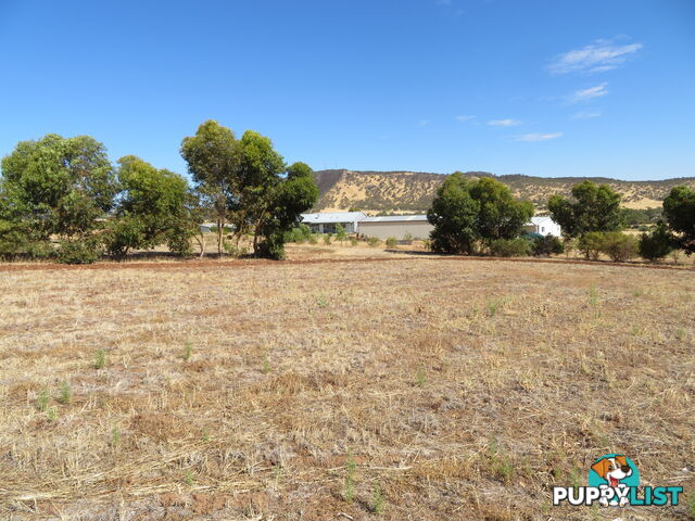 51 Langford Cresent YORK WA 6302