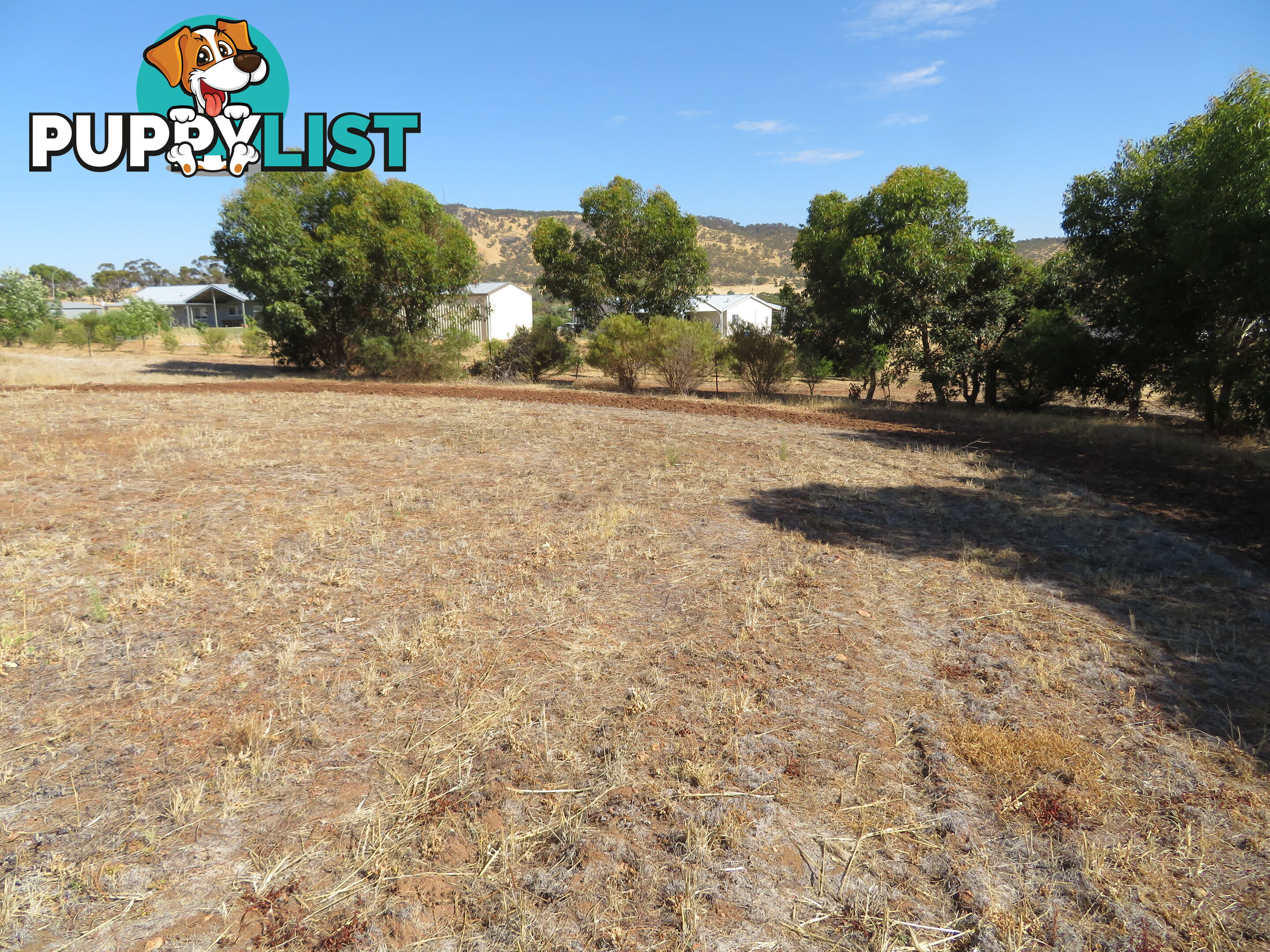51 Langford Cresent YORK WA 6302