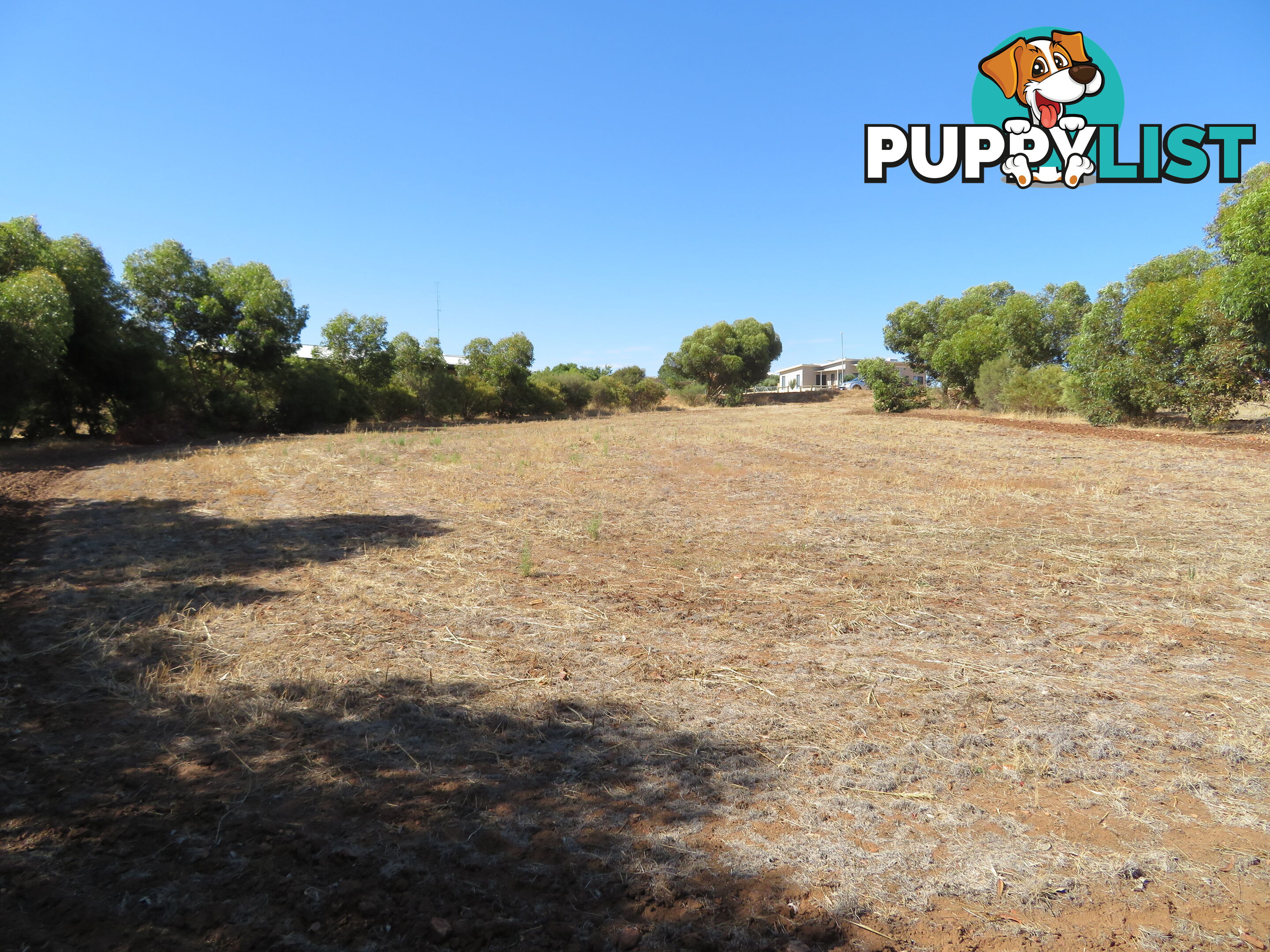 51 Langford Cresent YORK WA 6302