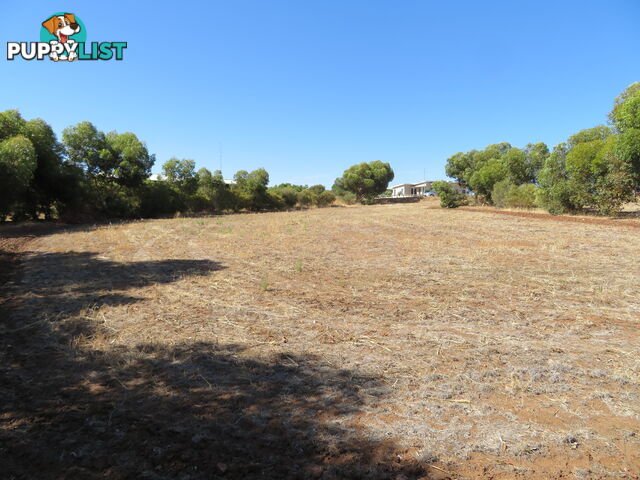 51 Langford Cresent YORK WA 6302