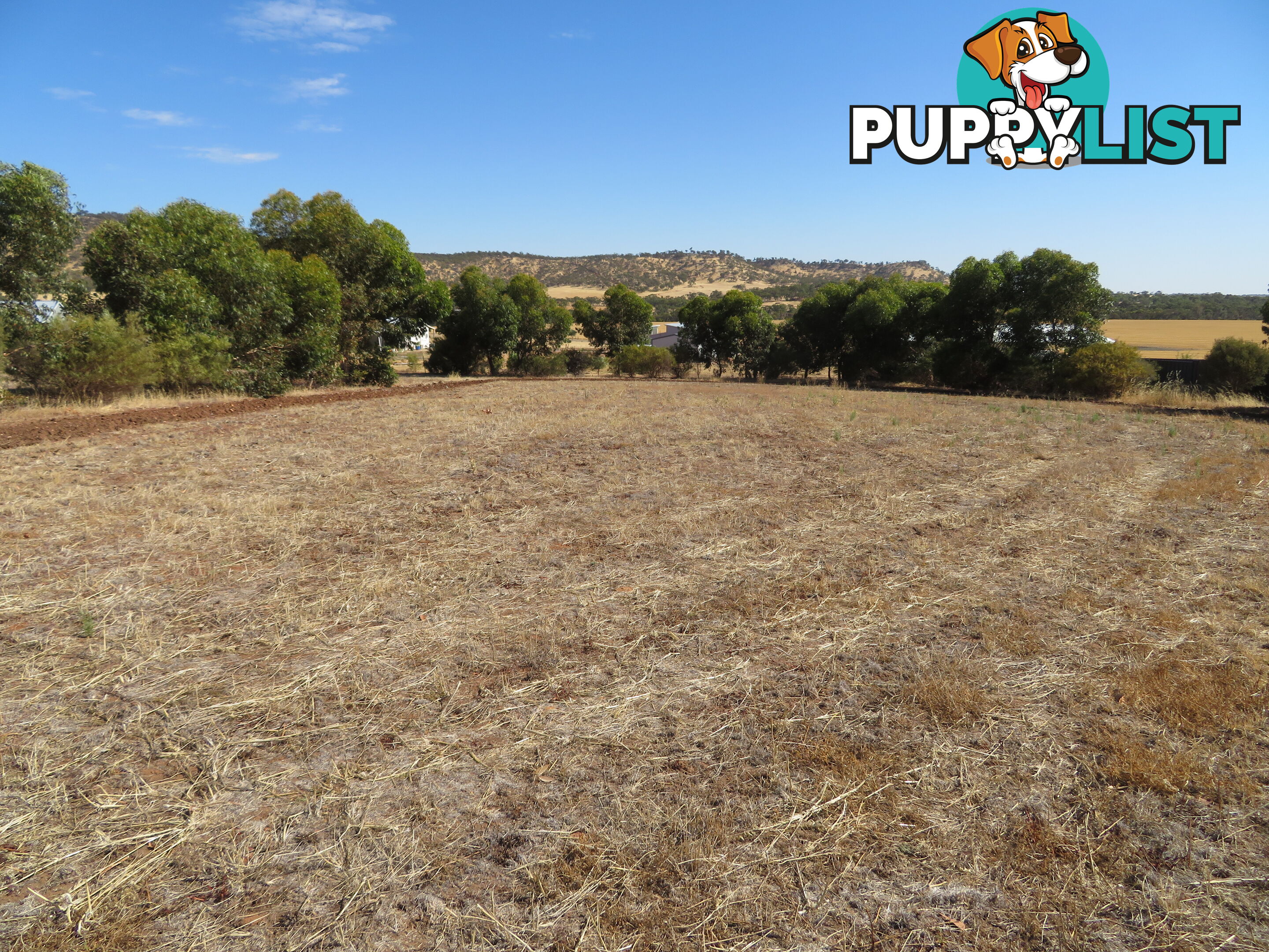 51 Langford Cresent YORK WA 6302