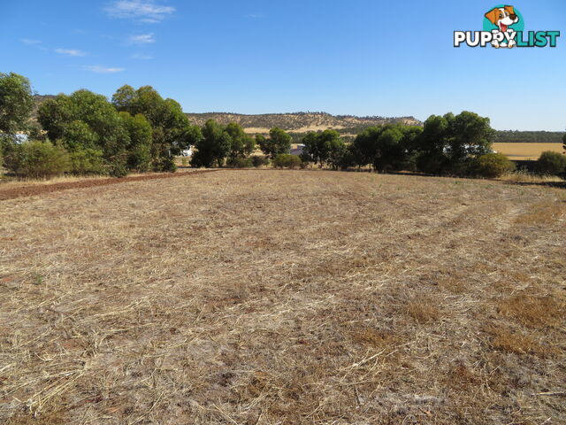 51 Langford Cresent YORK WA 6302