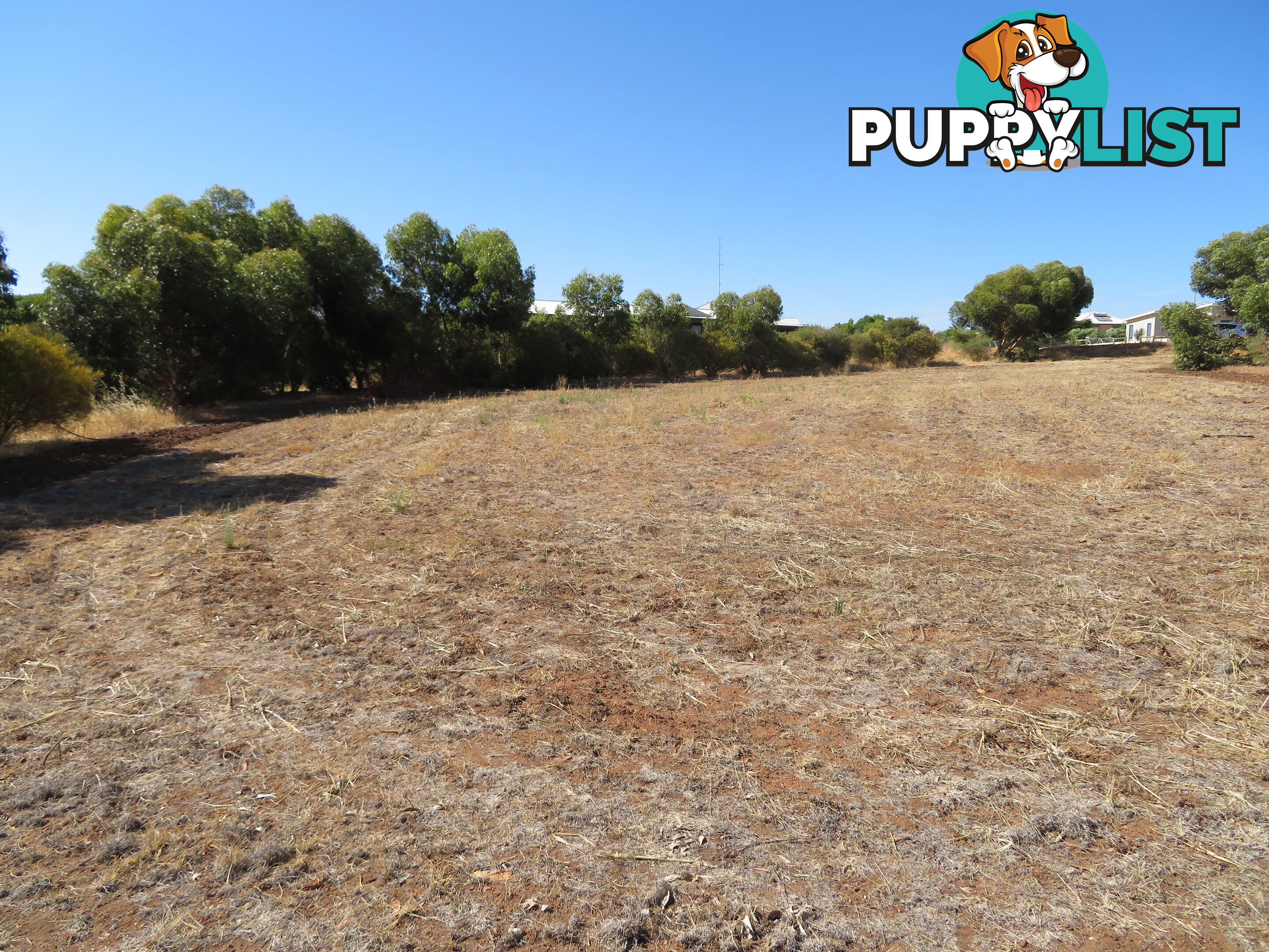 51 Langford Cresent YORK WA 6302