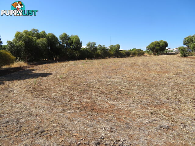 51 Langford Cresent YORK WA 6302