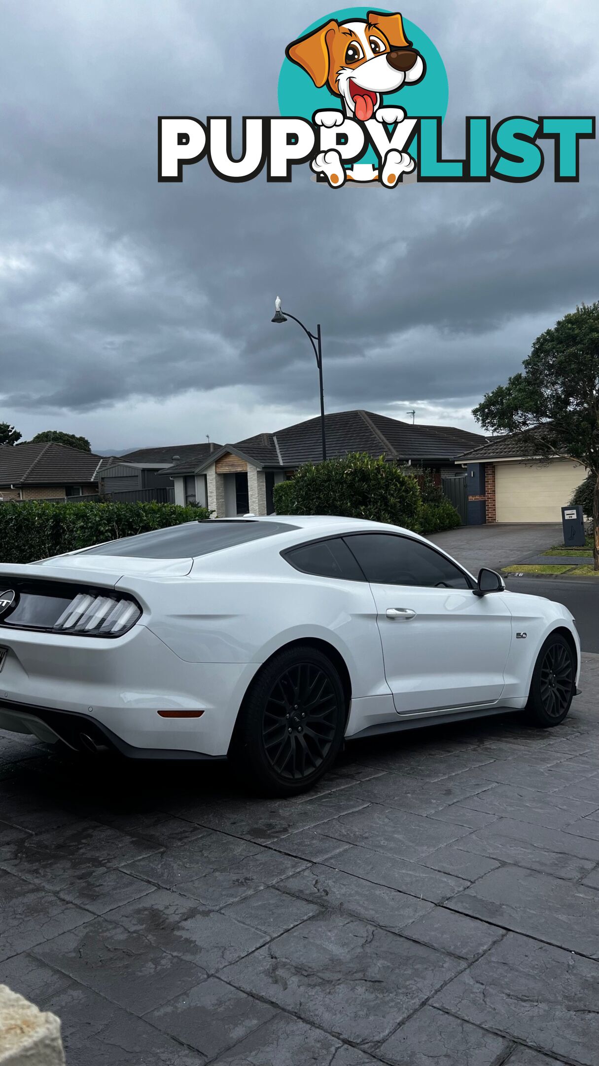 2017 Ford Mustang GT