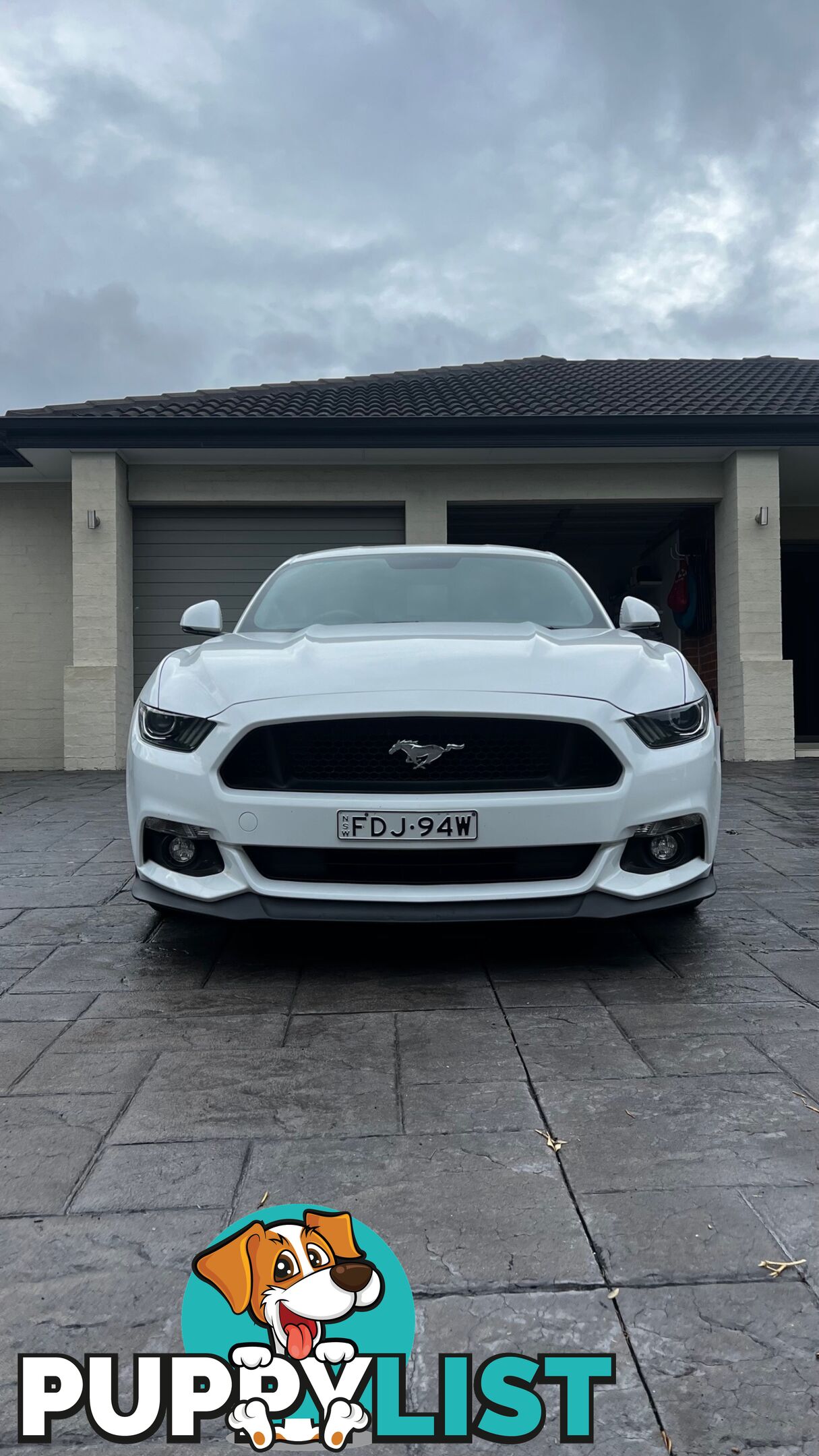 2017 Ford Mustang GT