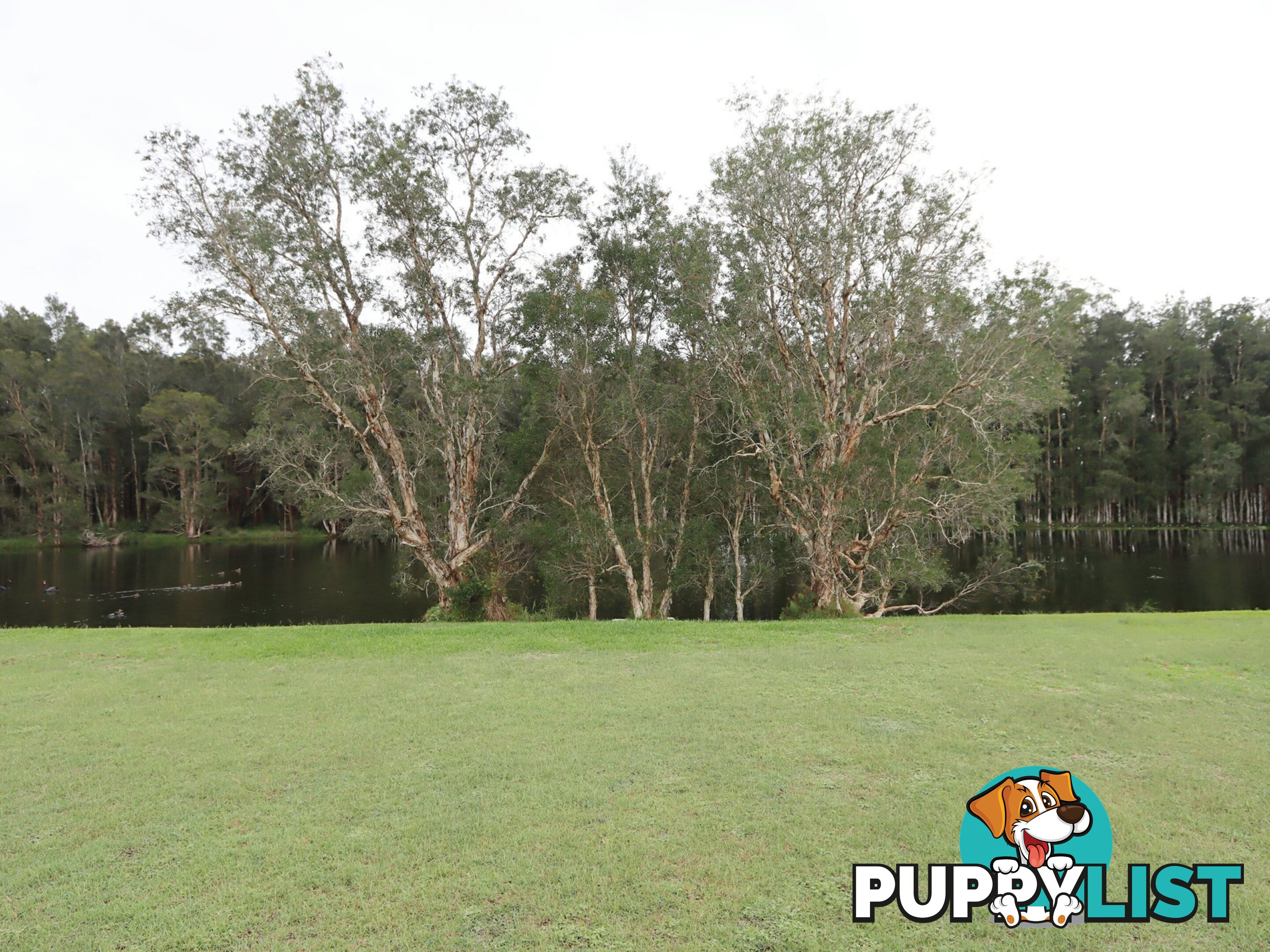 47 Hogan Street HARRINGTON NSW 2427
