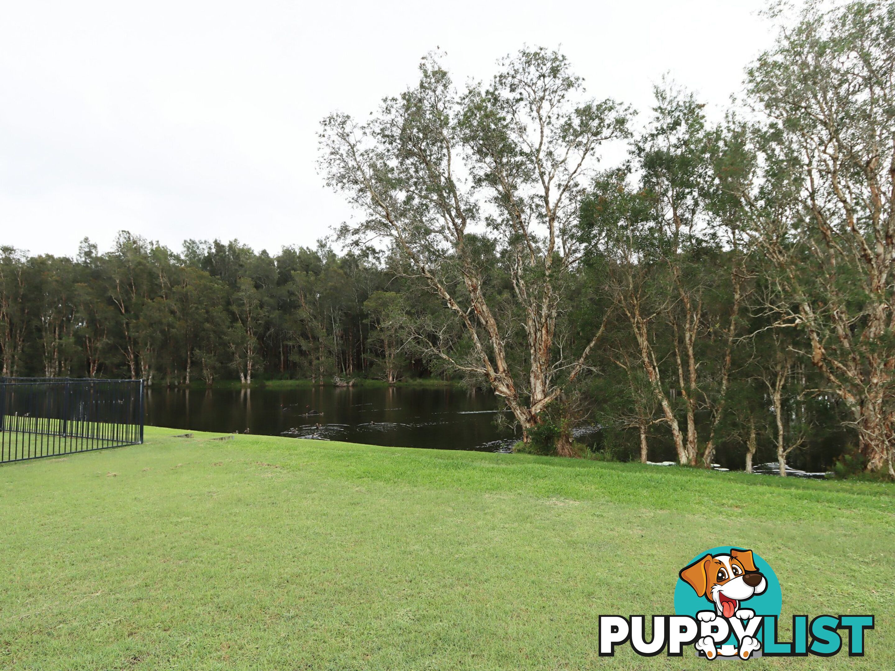 47 Hogan Street HARRINGTON NSW 2427