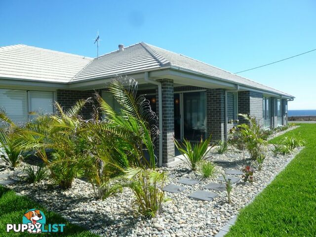 31 Pacific Drive CROWDY HEAD NSW 2427