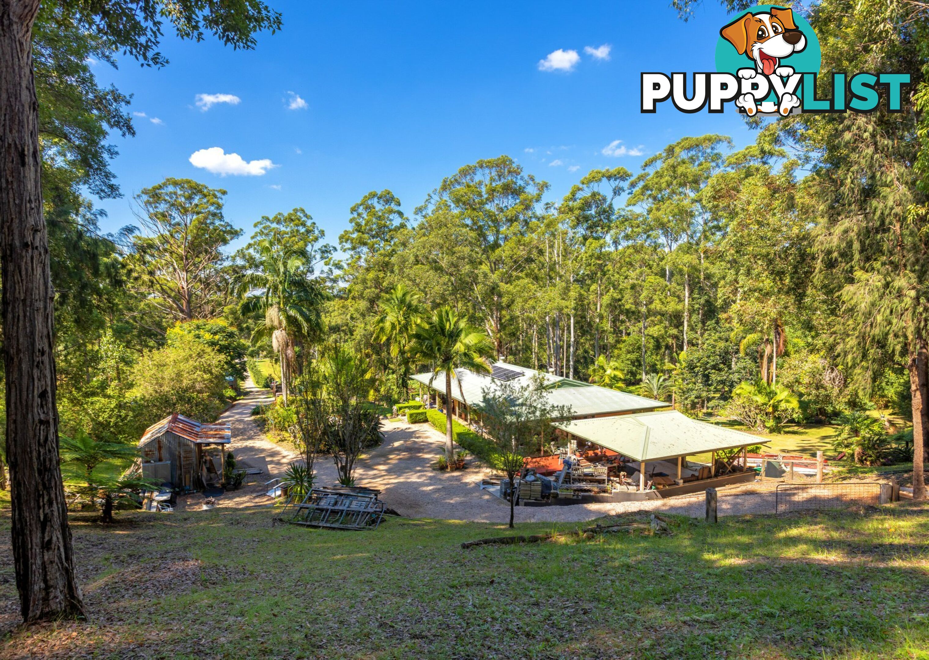 285 Riddles Brush Road JOHNS RIVER NSW 2443