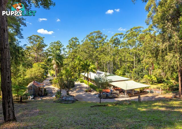 285 Riddles Brush Road JOHNS RIVER NSW 2443