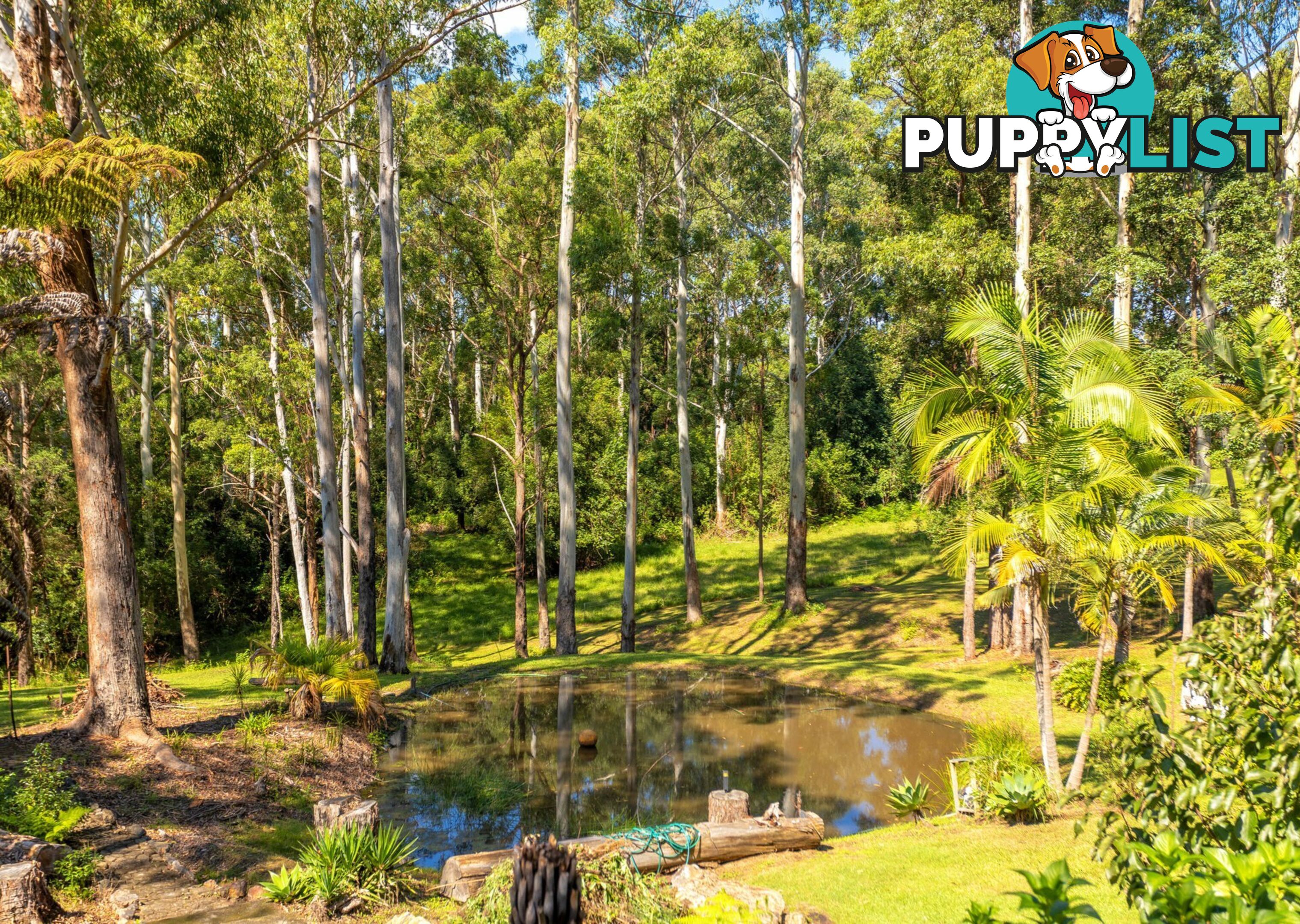 285 Riddles Brush Road JOHNS RIVER NSW 2443