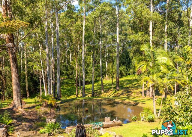 285 Riddles Brush Road JOHNS RIVER NSW 2443