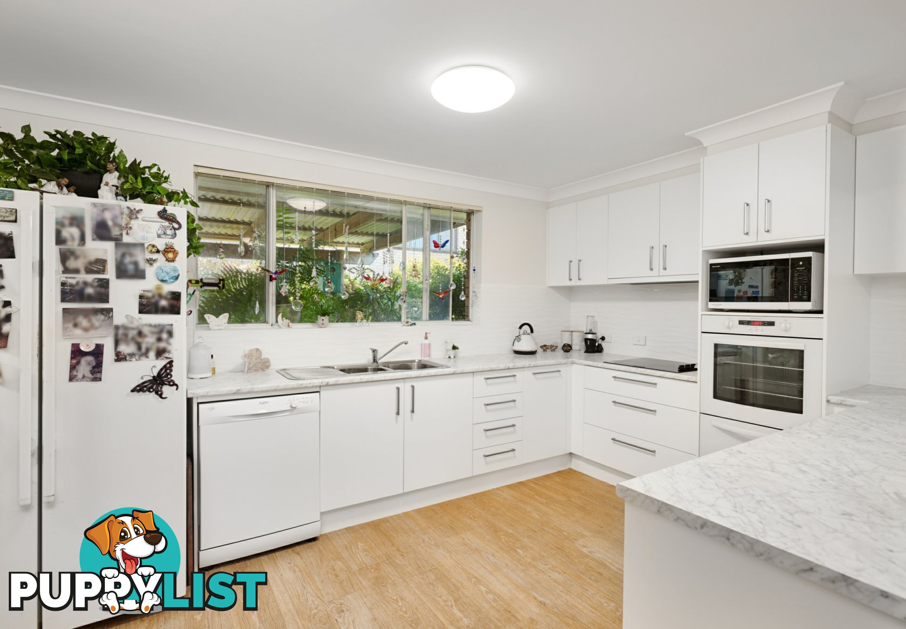 6 Jabiru Drive HARRINGTON NSW 2427