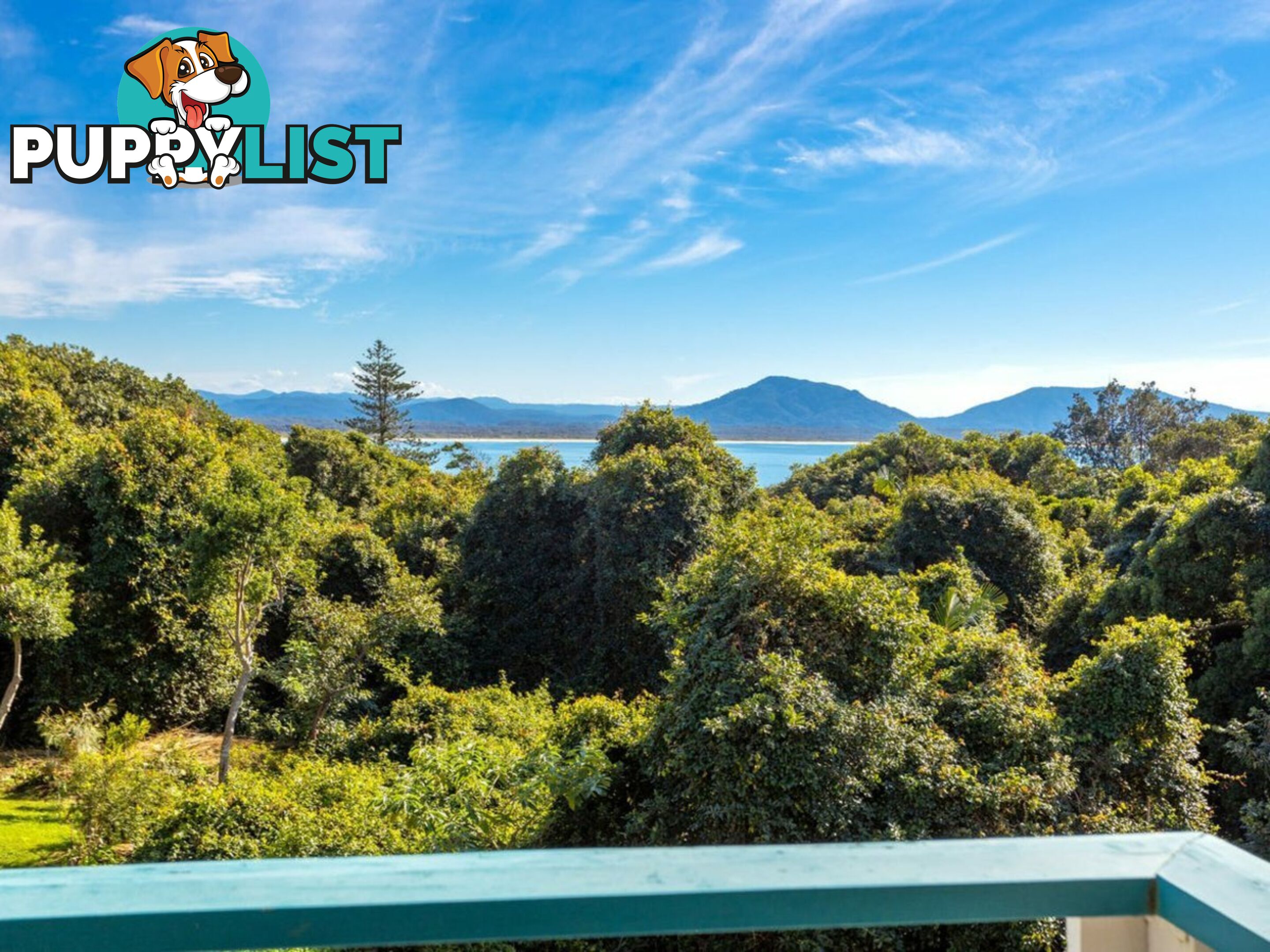 8 Elizabeth Street CROWDY HEAD NSW 2427