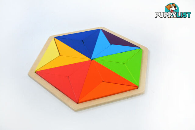 Hexagon Wooden Puzzle 18 piece - ETY0006