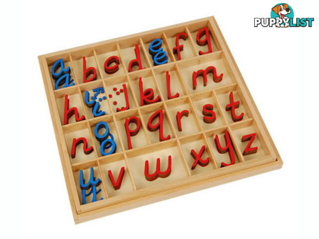 Movable Alphabet Small D'Nealian in Box RcBv - LA028