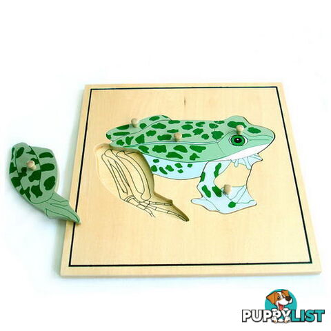 Frog & skeleton Puzzle - BO50176.506250