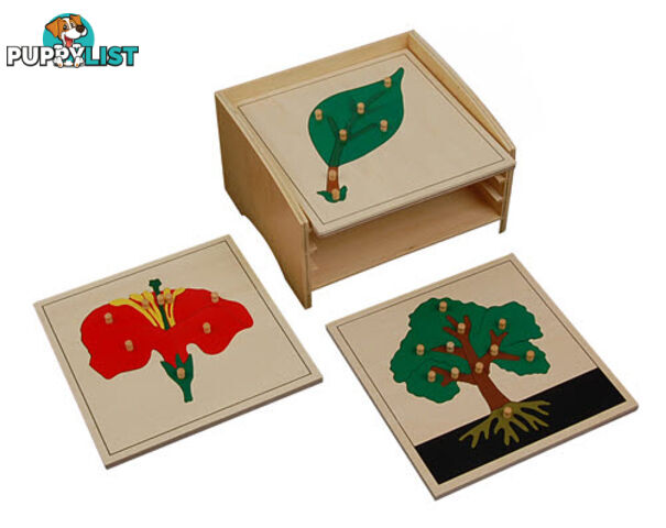 Botany Puzzles Tree, Leaf, Flower (cabinet not included) - BO00678.505400