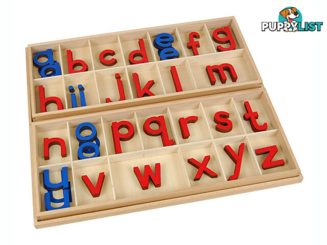 Movable Alphabet - Large Print in Box - LA010