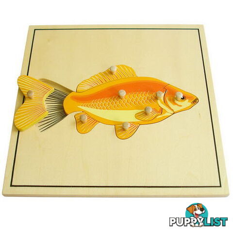 Fish & Skeleton Puzzle - BO50172.506350