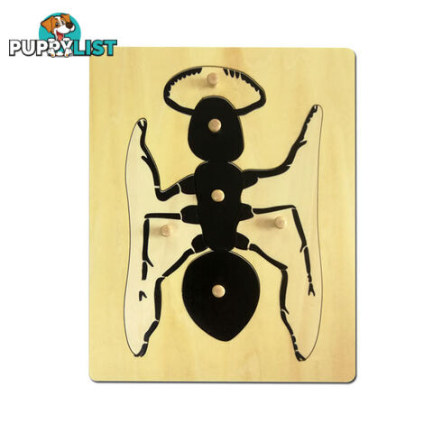 Ant Puzzle - Timber - SC035