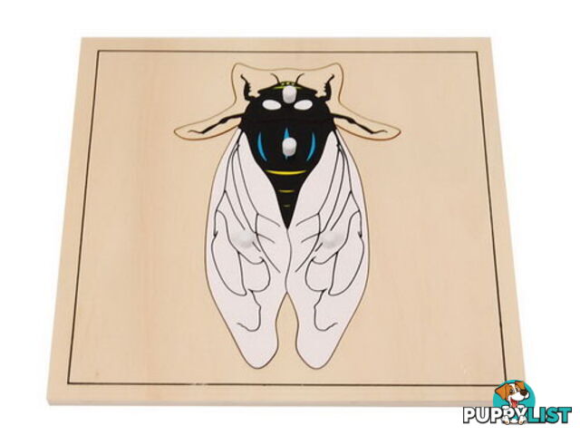 Fly Puzzle - BO025.506840