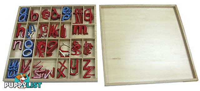 Movable Alphabet Small Sassoon w/out box - LA49200