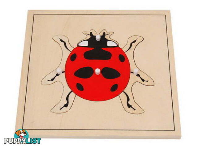 Ladybug Puzzle - BO022.506830