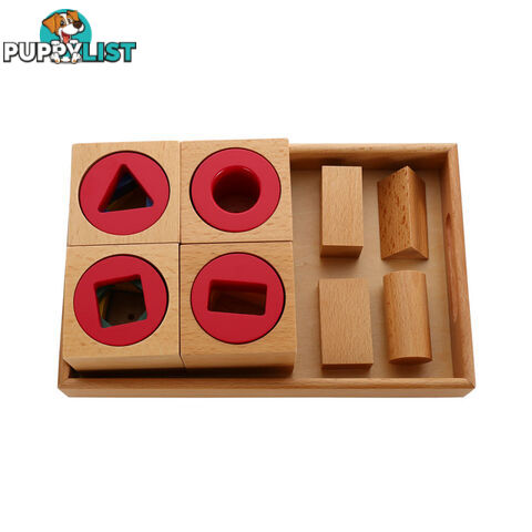 Multiple Shape Blocks on Tray - LT158