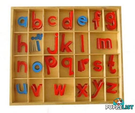 Movable Alphabet - Small Print in Box - LA011