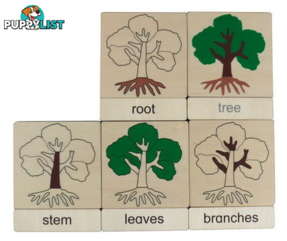 Classification 3 Part Timber Cards - Plant Parts - LA46423